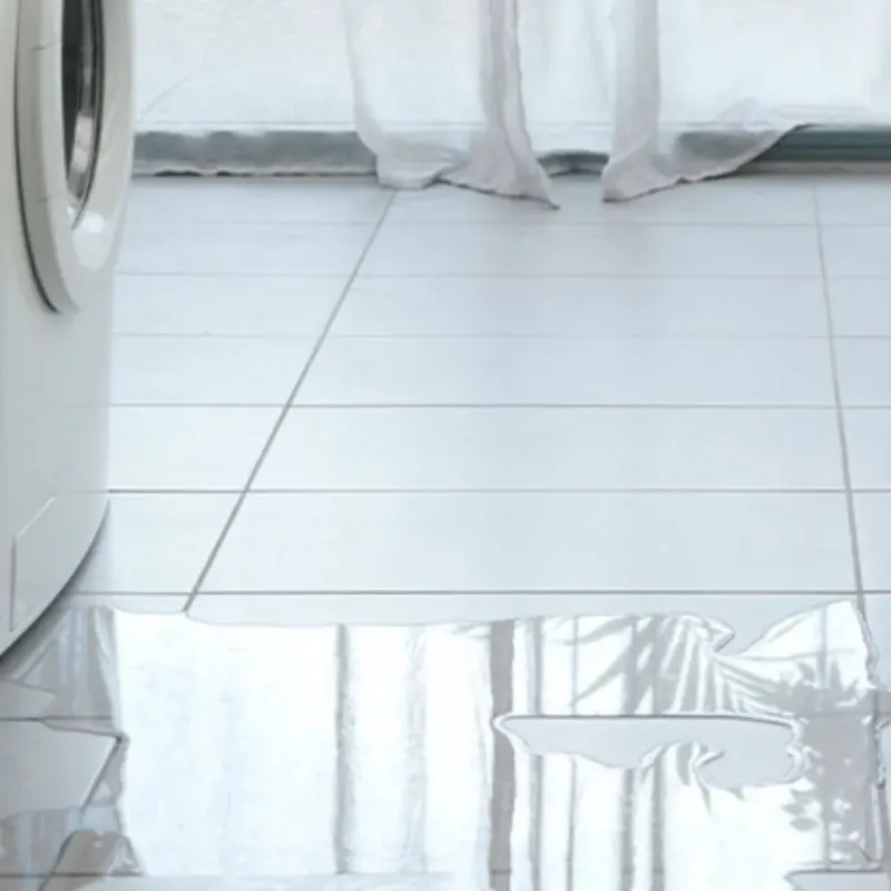 Appliance Leak Cleanup in Woodland Hills, UT