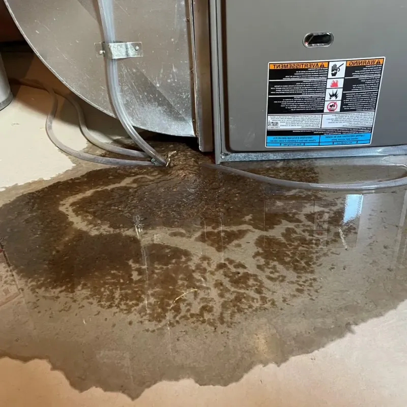 Pipe Burst and Leak Restoration in Woodland Hills, UT